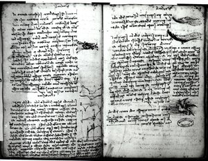 Parijs Manuscript E, fol. 22v en 23r: Schets van de vlucht van vogels, 1513-14